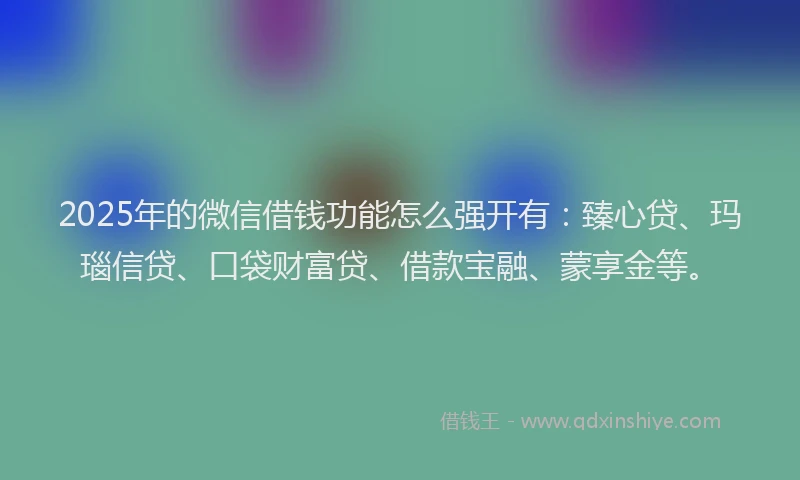 2025年的微信借钱功能怎么强开有：臻心贷、玛瑙信贷、口袋财富贷、借款宝融、蒙享金等。