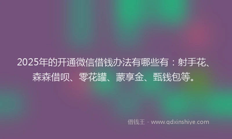 2025年的开通微信借钱办法有哪些有：射手花、森森借呗、零花罐、蒙享金、甄钱包等。