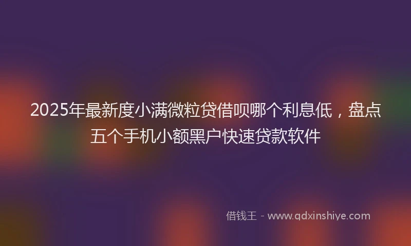 2025年最新度小满微粒贷借呗哪个利息低，盘点五个手机小额黑户快速贷款软件