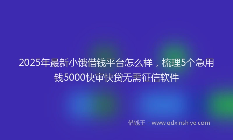 2025年最新小饿借钱平台怎么样，梳理5个急用钱5000快审快贷无需征信软件