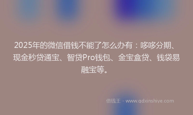 2025年的微信借钱不能了怎么办有：哆哆分期、现金秒贷通宝、智贷Pro钱包、金宝盒贷、钱袋易融宝等。