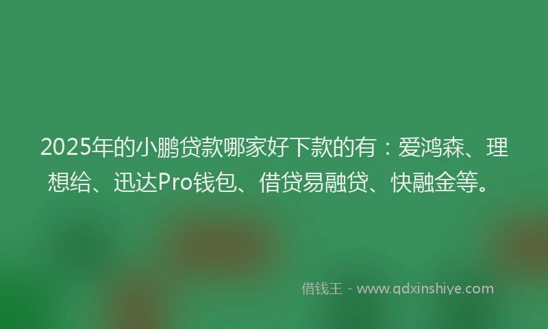 2025年的小鹏贷款哪家好下款的有：爱鸿森、理想给、迅达Pro钱包、借贷易融贷、快融金等。