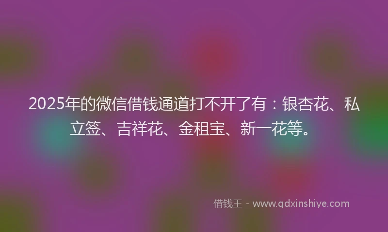 2025年的微信借钱通道打不开了有：银杏花、私立签、吉祥花、金租宝、新一花等。