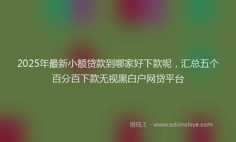 2025年最新小额贷款到哪家好下款呢，汇总五个百分百下款无视黑白户网贷平台