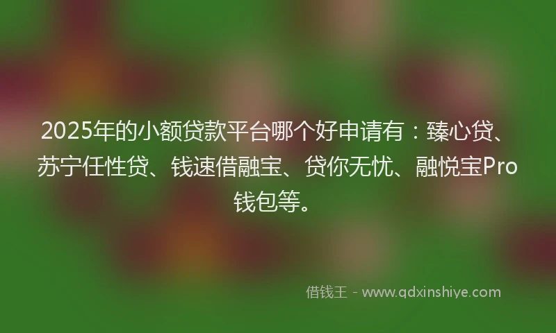 2025年的小额贷款平台哪个好申请有：臻心贷、苏宁任性贷、钱速借融宝、贷你无忧、融悦宝Pro钱包等。