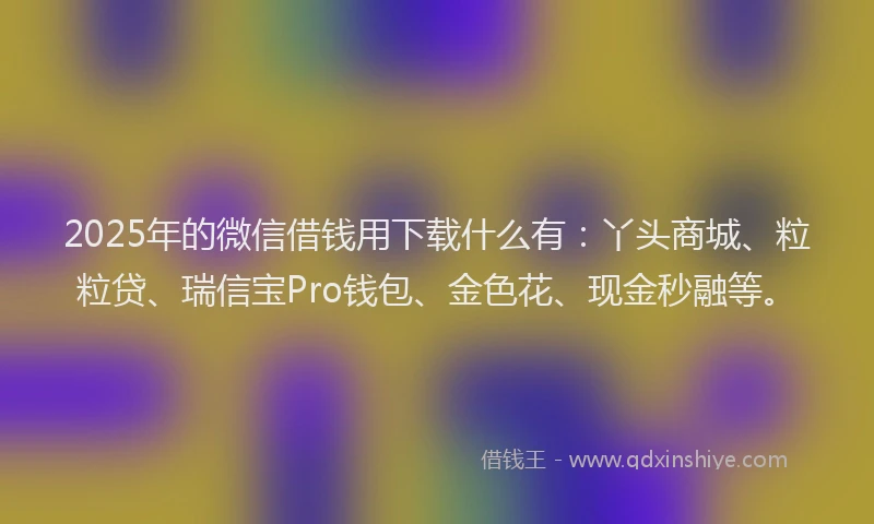 2025年的微信借钱用下载什么有：丫头商城、粒粒贷、瑞信宝Pro钱包、金色花、现金秒融等。