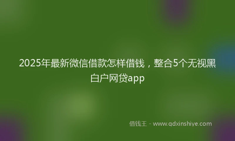 2025年最新微信借款怎样借钱，整合5个无视黑白户网贷app