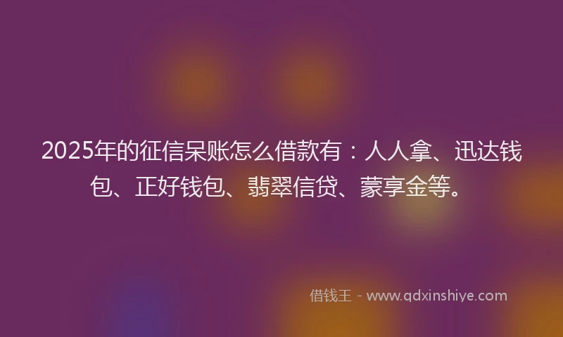 2025年的征信呆账怎么借款有：人人拿、迅达钱包、正好钱包、翡翠信贷、蒙享金等。