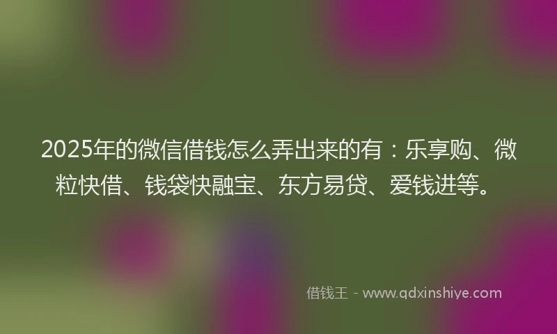 2025年的微信借钱怎么弄出来的有：乐享购、微粒快借、钱袋快融宝、东方易贷、爱钱进等。