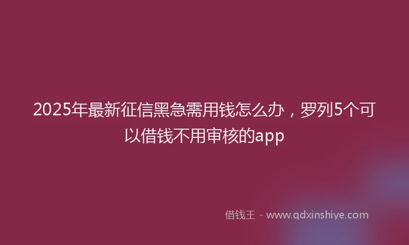 2025年最新征信黑急需用钱怎么办，罗列5个可以借钱不用审核的app