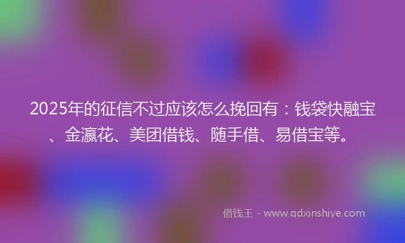 2025年的征信不过应该怎么挽回有：钱袋快融宝、金瀛花、美团借钱、随手借、易借宝等。