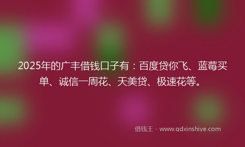 2025年的广丰借钱口子有：百度贷你飞、蓝莓买单、诚信一周花、天美贷、极速花等。