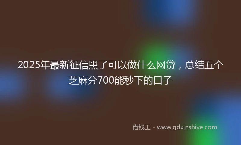 2025年最新征信黑了可以做什么网贷，总结五个芝麻分700能秒下的口子