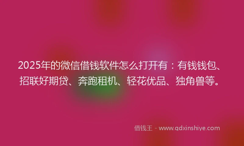2025年的微信借钱软件怎么打开有：有钱钱包、招联好期贷、奔跑租机、轻花优品、独角兽等。