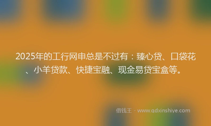 2025年的工行网申总是不过有：臻心贷、口袋花、小羊贷款、快捷宝融、现金易贷宝盒等。