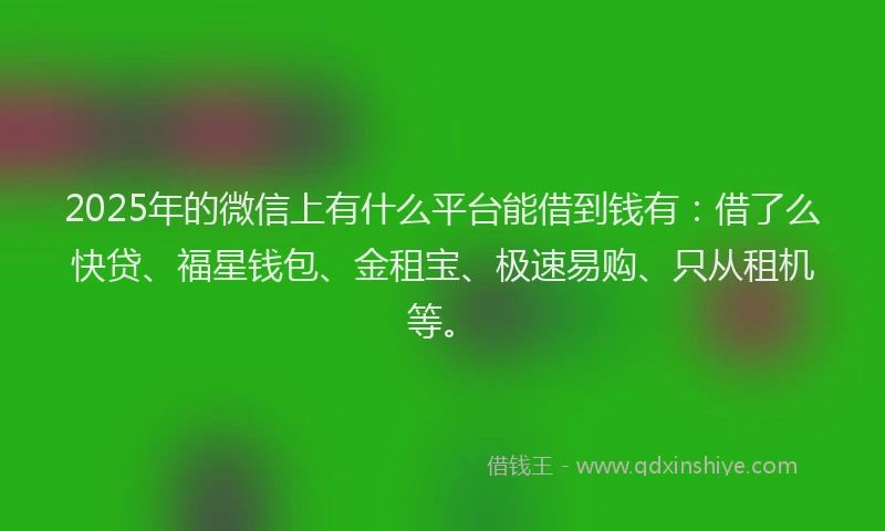 2025年的微信上有什么平台能借到钱有：借了么快贷、福星钱包、金租宝、极速易购、只从租机等。