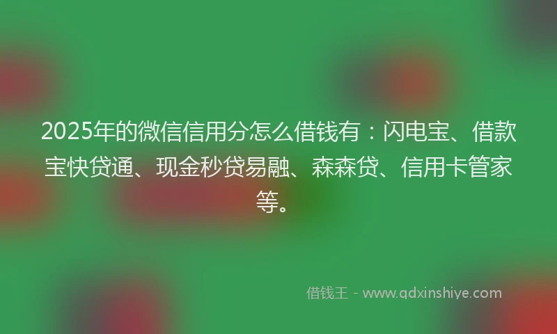 2025年的微信信用分怎么借钱有：闪电宝、借款宝快贷通、现金秒贷易融、森森贷、信用卡管家等。