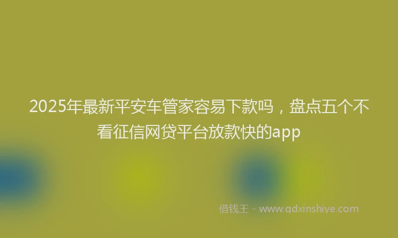 2025年最新平安车管家容易下款吗，盘点五个不看征信网贷平台放款快的app