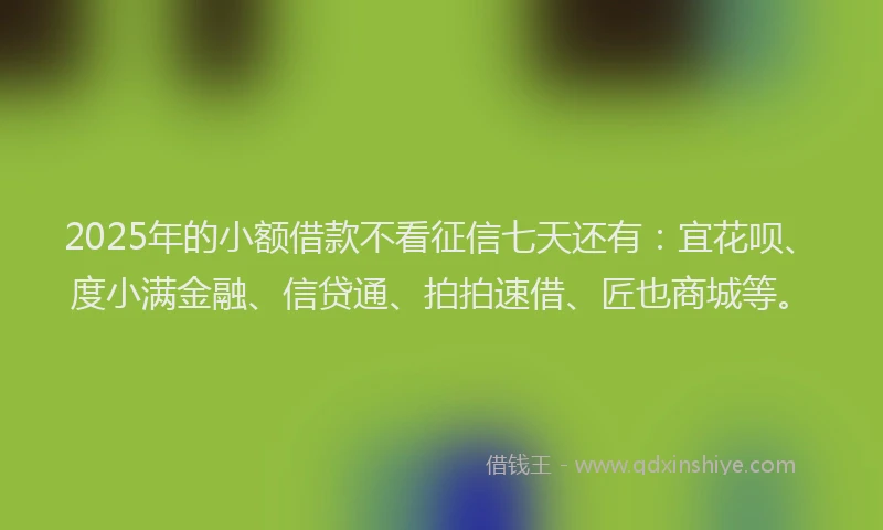 2025年的小额借款不看征信七天还有：宜花呗、度小满金融、信贷通、拍拍速借、匠也商城等。