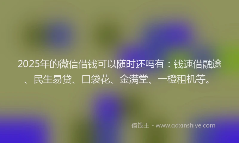 2025年的微信借钱可以随时还吗有：钱速借融途、民生易贷、口袋花、金满堂、一橙租机等。