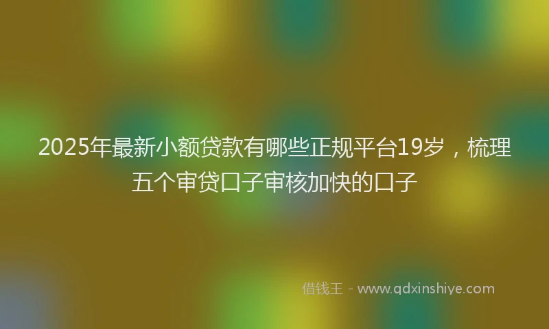 2025年最新小额贷款有哪些正规平台19岁，梳理五个审贷口子审核加快的口子