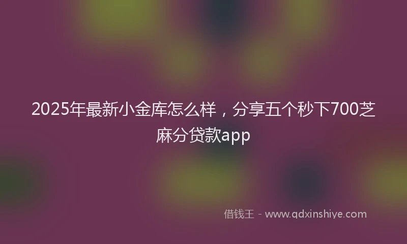 2025年最新小金库怎么样，分享五个秒下700芝麻分贷款app