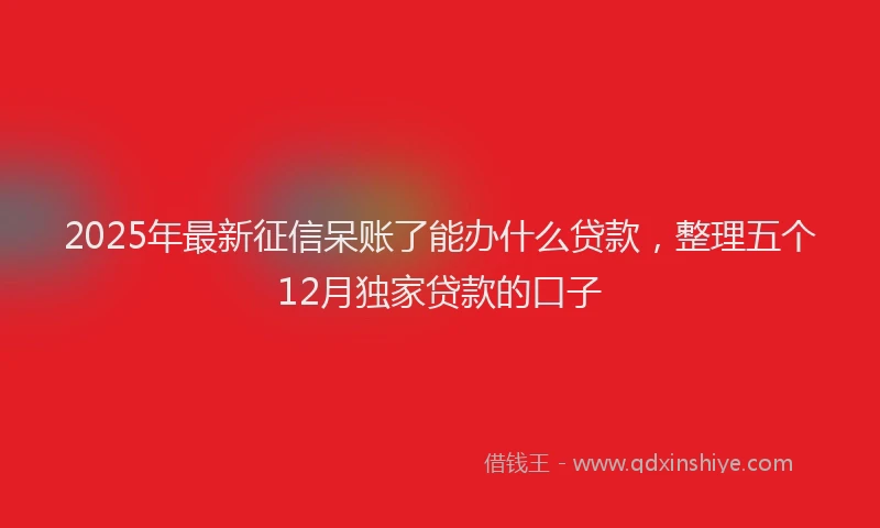 2025年最新征信呆账了能办什么贷款，整理五个12月独家贷款的口子