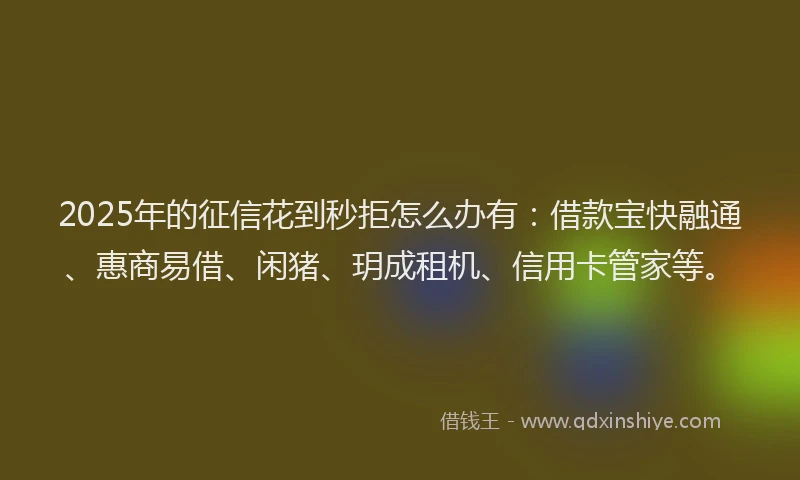 2025年的征信花到秒拒怎么办有：借款宝快融通、惠商易借、闲猪、玥成租机、信用卡管家等。
