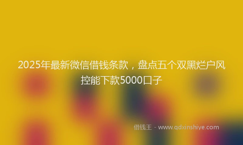 2025年最新微信借钱条款，盘点五个双黑烂户风控能下款5000口子