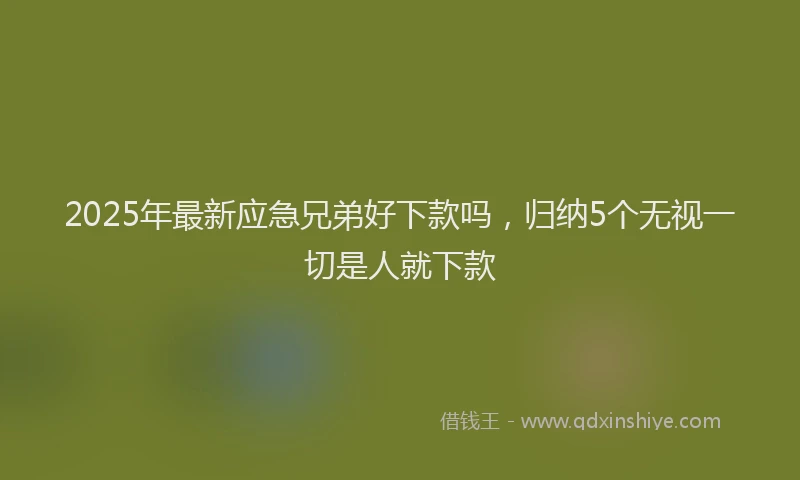 2025年最新应急兄弟好下款吗，归纳5个无视一切是人就下款