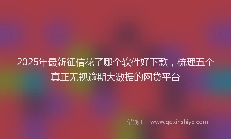 2025年最新征信花了哪个软件好下款，梳理五个真正无视逾期大数据的网贷平台