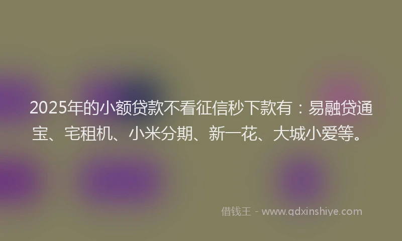 2025年的小额贷款不看征信秒下款有：易融贷通宝、宅租机、小米分期、新一花、大城小爱等。