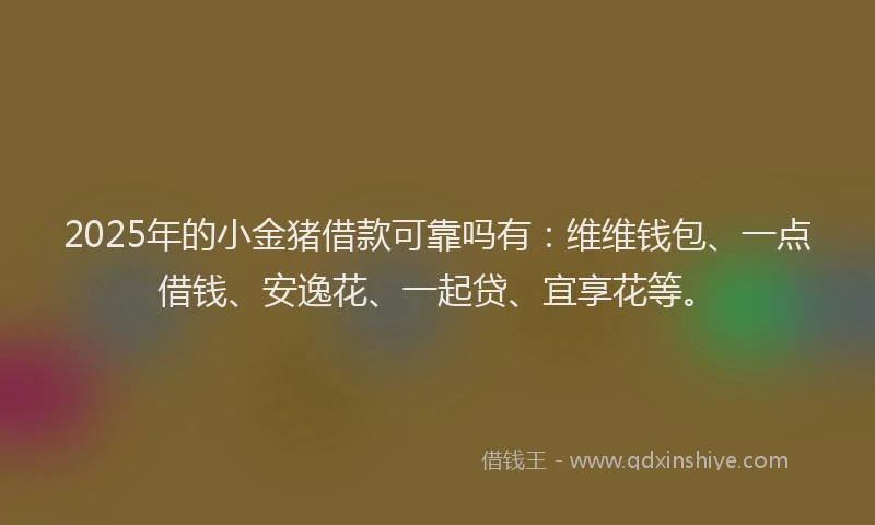 2025年的小金猪借款可靠吗有：维维钱包、一点借钱、安逸花、一起贷、宜享花等。