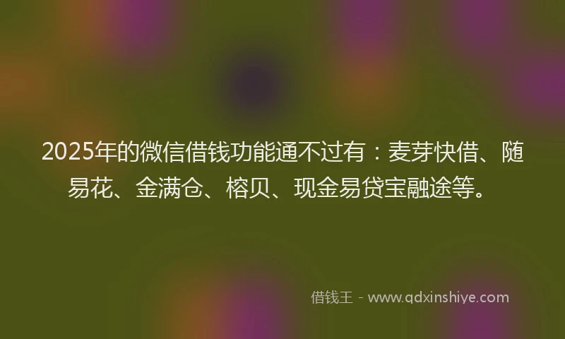 2025年的微信借钱功能通不过有：麦芽快借、随易花、金满仓、榕贝、现金易贷宝融途等。