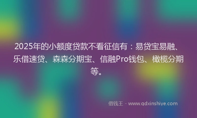 2025年的小额度贷款不看征信有：易贷宝易融、乐借速贷、森森分期宝、信融Pro钱包、橄榄分期等。