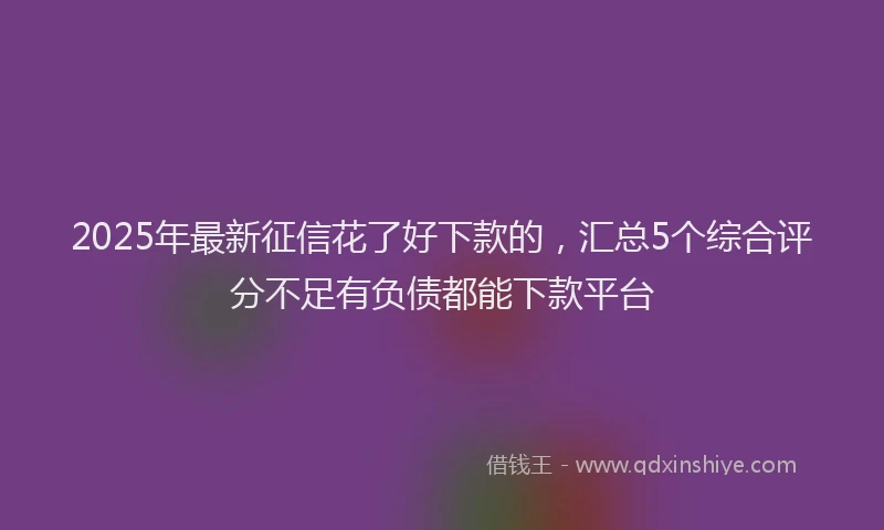 2025年最新征信花了好下款的，汇总5个综合评分不足有负债都能下款平台