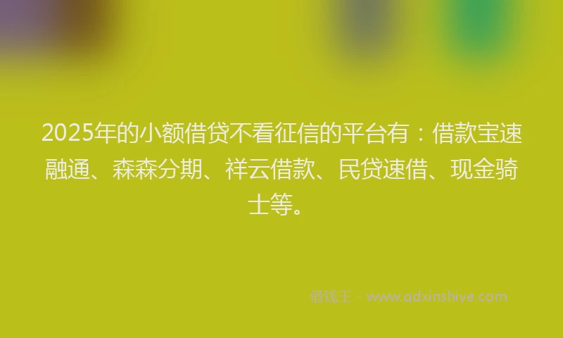 2025年的小额借贷不看征信的平台有：借款宝速融通、森森分期、祥云借款、民贷速借、现金骑士等。