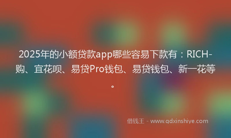 2025年的小额贷款app哪些容易下款有：RICH-购、宜花呗、易贷Pro钱包、易贷钱包、新一花等。