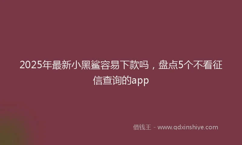 2025年最新小黑鲨容易下款吗，盘点5个不看征信查询的app