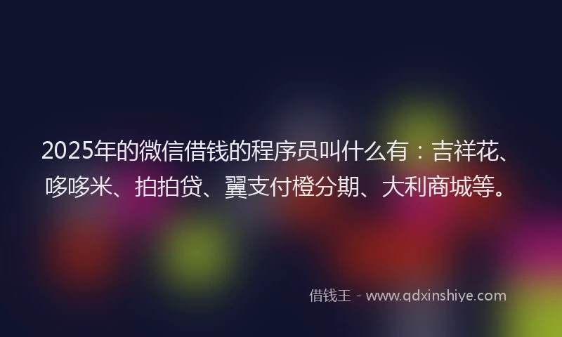 2025年的微信借钱的程序员叫什么有：吉祥花、哆哆米、拍拍贷、翼支付橙分期、大利商城等。