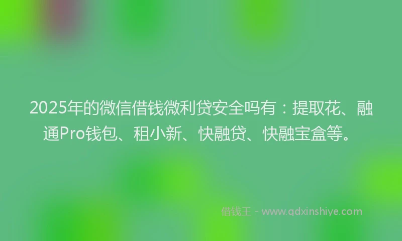 2025年的微信借钱微利贷安全吗有：提取花、融通Pro钱包、租小新、快融贷、快融宝盒等。