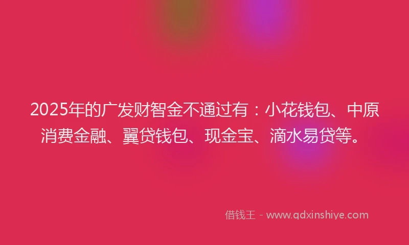 2025年的广发财智金不通过有：小花钱包、中原消费金融、翼贷钱包、现金宝、滴水易贷等。