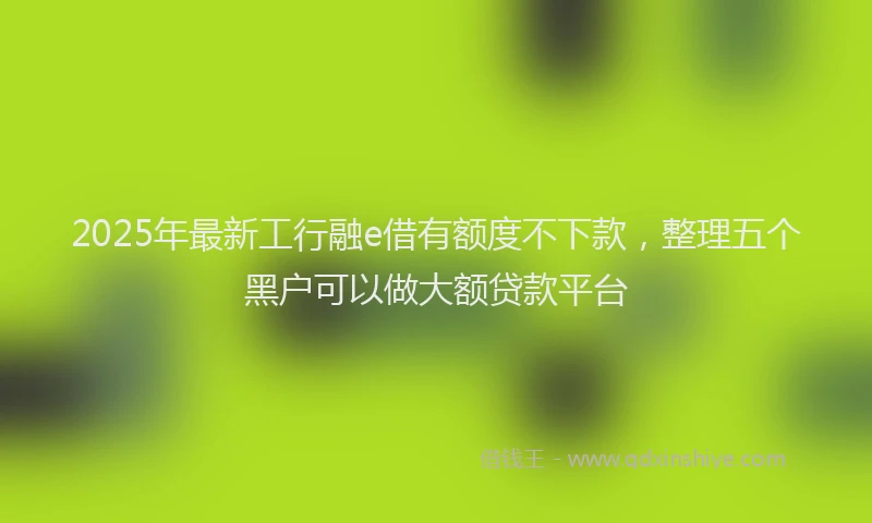 2025年最新工行融e借有额度不下款，整理五个黑户可以做大额贷款平台