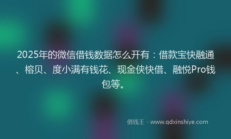 2025年的微信借钱数据怎么开有：借款宝快融通、榕贝、度小满有钱花、现金侠快借、融悦Pro钱包等。