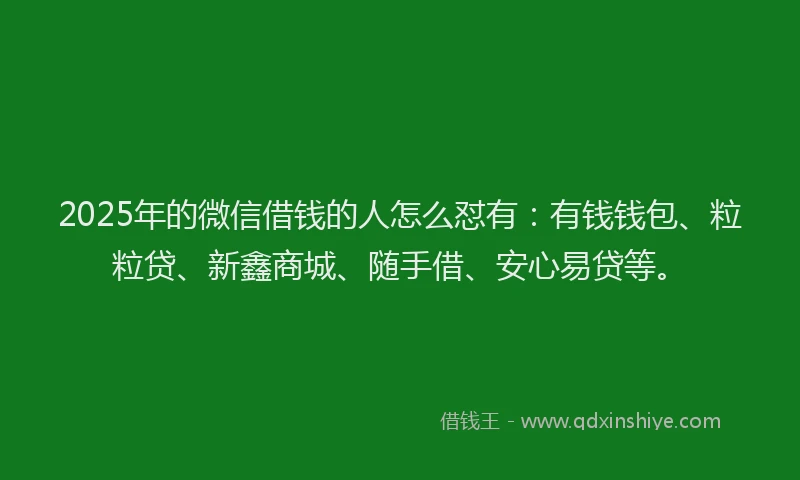 2025年的微信借钱的人怎么怼有：有钱钱包、粒粒贷、新鑫商城、随手借、安心易贷等。
