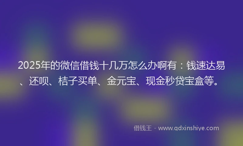 2025年的微信借钱十几万怎么办啊有：钱速达易、还呗、桔子买单、金元宝、现金秒贷宝盒等。
