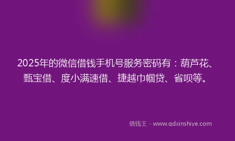 2025年的微信借钱手机号服务密码有：葫芦花、甄宝借、度小满速借、捷越巾帼贷、省呗等。