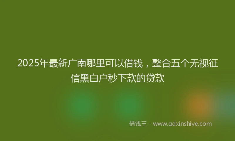 2025年最新广南哪里可以借钱，整合五个无视征信黑白户秒下款的贷款