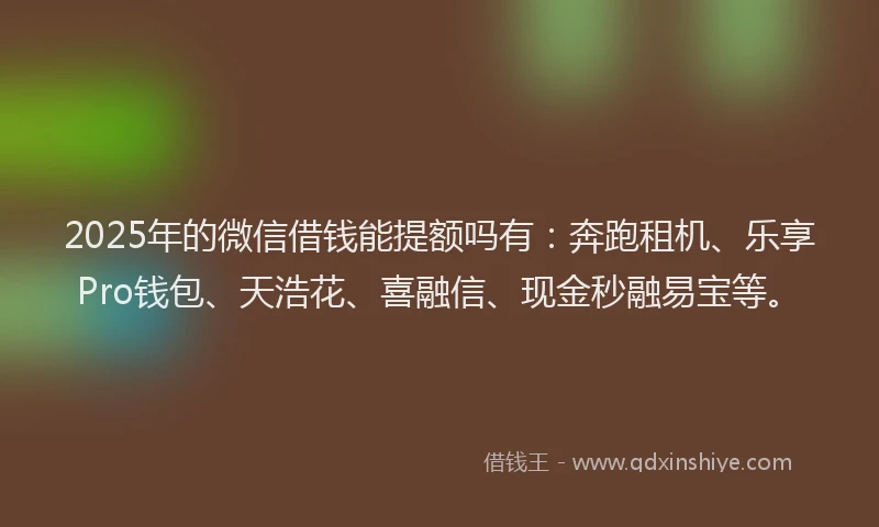 2025年的微信借钱能提额吗有：奔跑租机、乐享Pro钱包、天浩花、喜融信、现金秒融易宝等。