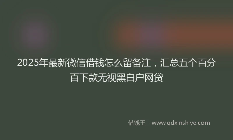 2025年最新微信借钱怎么留备注，汇总五个百分百下款无视黑白户网贷